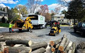 Best Lot and Land Clearing  in Clarksville, TN
